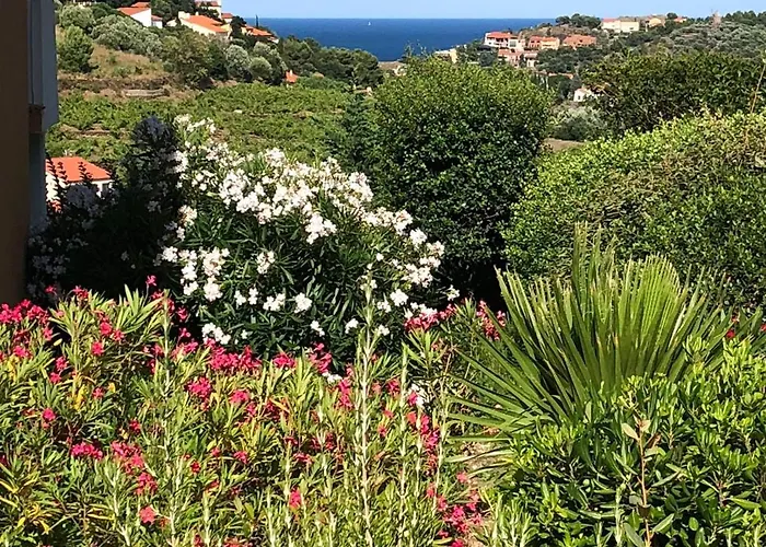 Διαμέρισμα Les Vigies-t4 Vue Mer-terrasse-parking-6 Pers