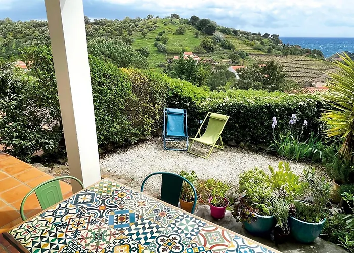 Les Vigies-t4 Vue Mer-terrasse-parking-6 Pers Διαμέρισμα Κολιούρ